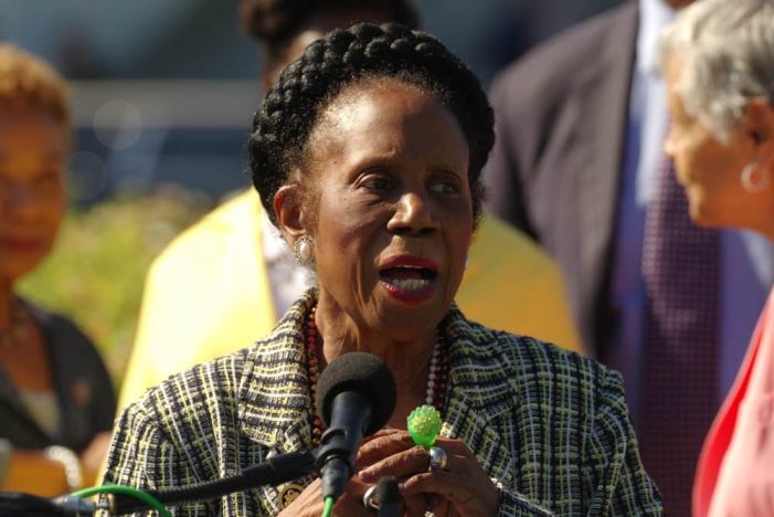 Honoring the Legacy of Rep. Sheila Jackson Lee: A Tribute to Her Impact and Leadership