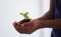 As Trump Assaults Climate Progress on Earth Day, Comptroller Lander Pushes Forward Toward Net Zero