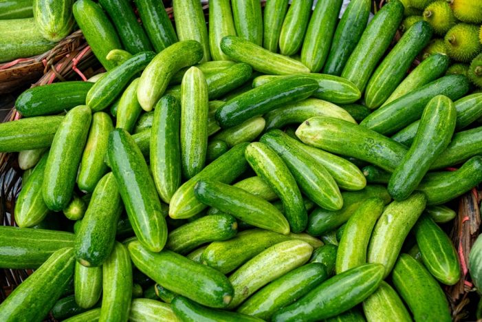 Outbreak Investigation of Salmonella: Cucumbers