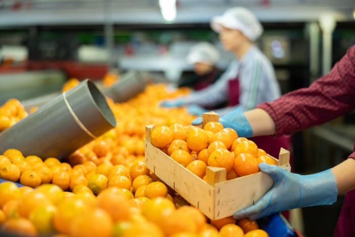 Deadline Nears for $120 Per Child in Summer Food Benefits in NYC