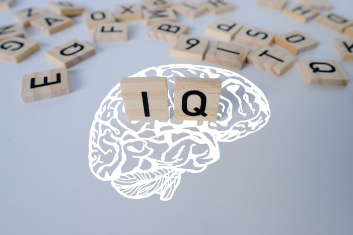 Am I Stupid to Pay for an IQ Test?